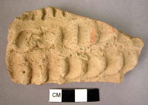 Fragment of pottery