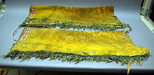 Pair of leggings attached by a cord. Made of yellow dyed buckskin, fringed.