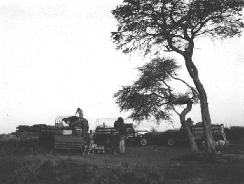 Expedition camp under a kameelboom tree