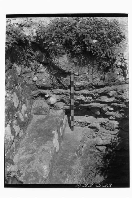 Monjas - secondary terracing between N lineof NE terrace and N building showing