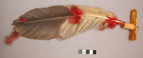 Scalp ornament--feather (eagle) in bone socket