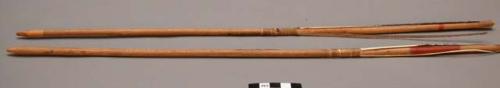 2 arrows. Wood shaft w/ tip carved to point. Remnants of feather fletching. Band