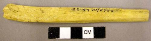 Fragment of bone awl