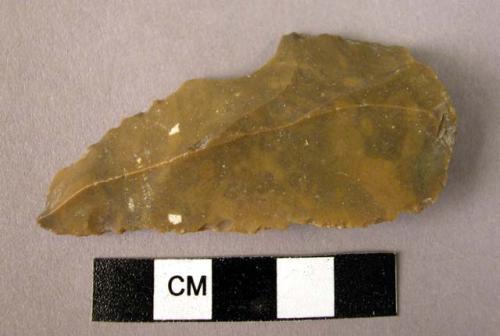 Chipped stone projectile point, ovate, thick butted, notch on one edge