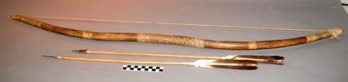 Navajo bow & 2 arrows. Bow wrapped in several places & strung w/ sinew. Handhold