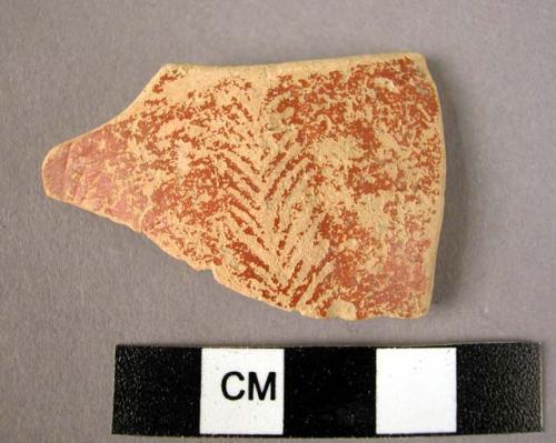 Terra cotta sherd