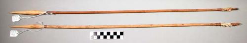 2 wooden tipped arrows for baboons, poisoned