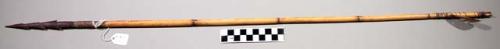 Arrow, wooden tip, bamboo shaft, 31.5" long