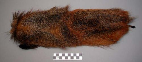 Skin bag - mongoose, "herpestes" ("kunda")