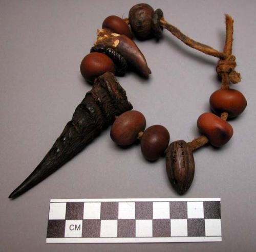 Ceremonial necklace of nuts, antelope foot and horn, iron rings