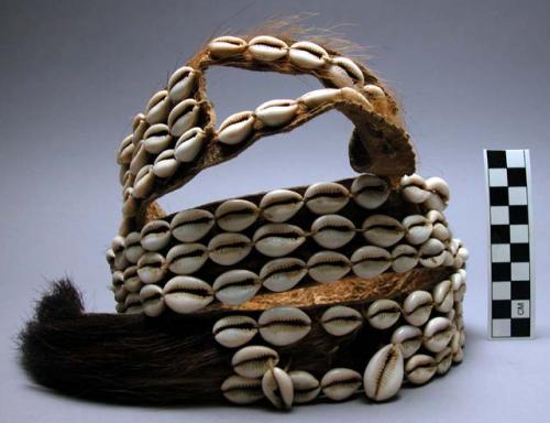 Hyena skin and cowrie shell bandolier - part of medicine man's costume