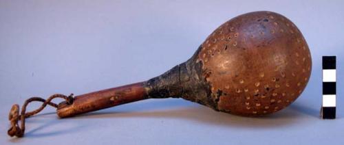 Gourd rattle; polished handle held in place by pitch