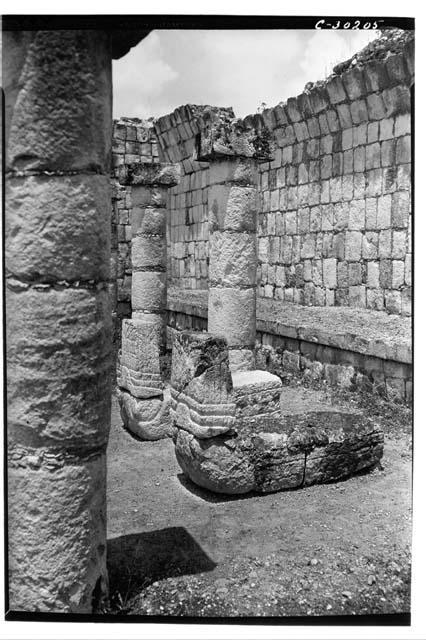 Serpent tail at Temple of Wall Panels