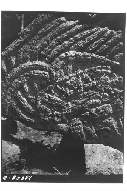 Upper section of Stela 20 at Coba C