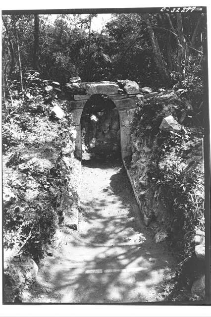 Structure 2-C-6 on road to Piste, view from north, doorway repaired. July 18th.