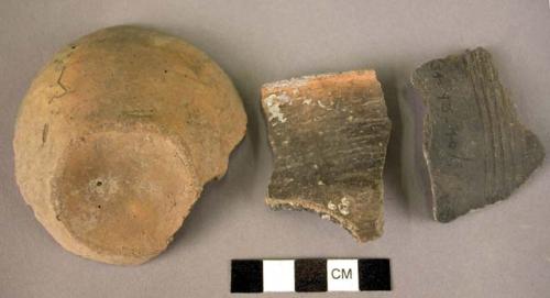 Fragments of pottery cups