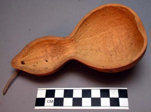 Small gourd spoon.  Katowa