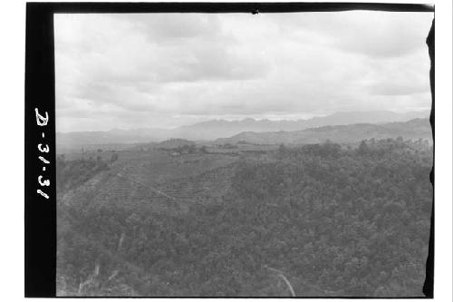 Terraced Agriculture