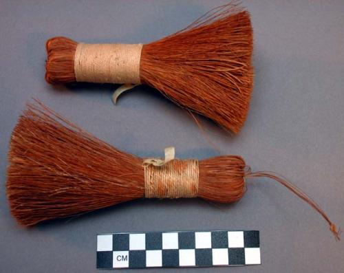 Brushes made from agave fibre