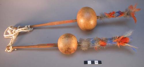 Gourd rattles