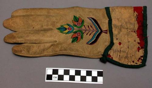 Pawnee glove, left hand.