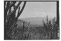 Ruins of Guaytan; View from Ruins toward South