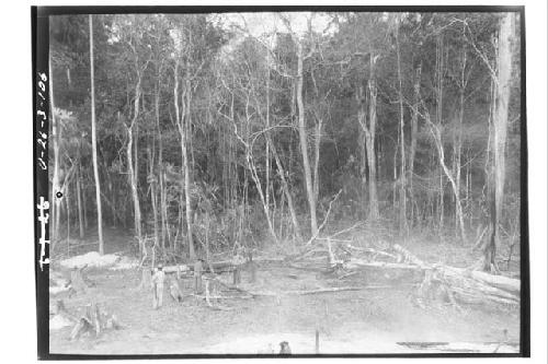 Milpa and Clearing; Digging Post Holes for Chicken Coop