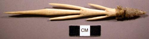 Retrieving arrow head of bone with stone point