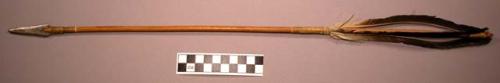 Arrow. Wooden shaft with iron head and feathers.