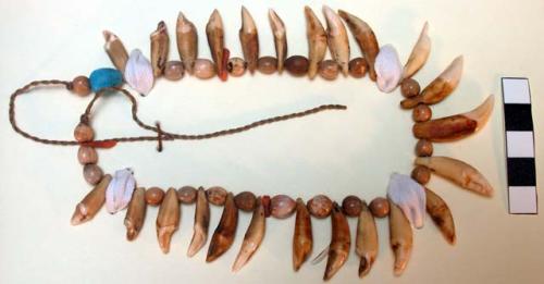 Necklace of small teeth and coix seeds
