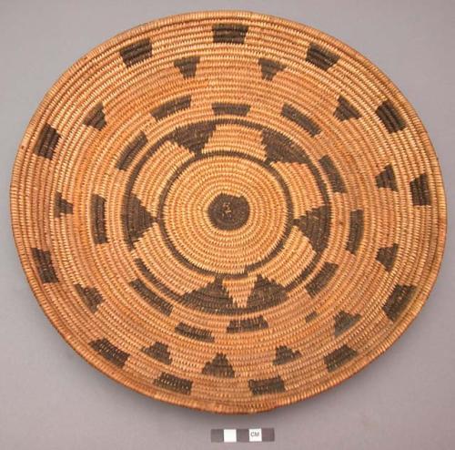 Coiled basketry plate with black geometric designs