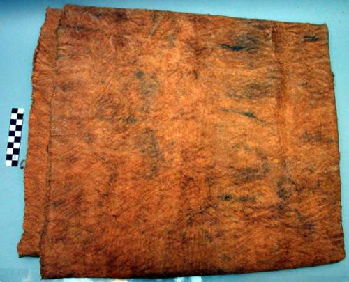 Bark cloth or bark blanket made from bark of calo tree