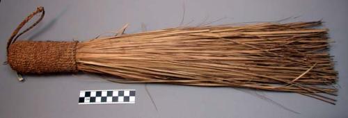 Whisk broom regularly used for sweeping around huts. Lisache