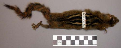 Skin bag - ground squirrel, "tamiscus" ("kunda")