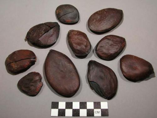 27 seeds from pods no. 50-1345