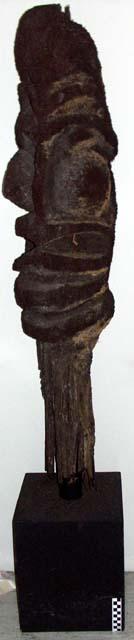 Tree fern head called "panarat" from men's house called "nakamal" +