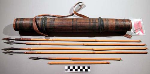 Quiver, skin covered wood tube, pigmented, with 5 metal tip arrows, 1 shaft