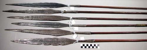 Bianzi (Bayanzi) and Bangala spears with long iron points