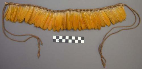 Necklace of feathers