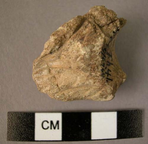 Fragment of carved antler: linear decoration on all sides. Very stylized piece,