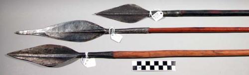 Bianzi (Bayanzi) and Bangala spears with iron points