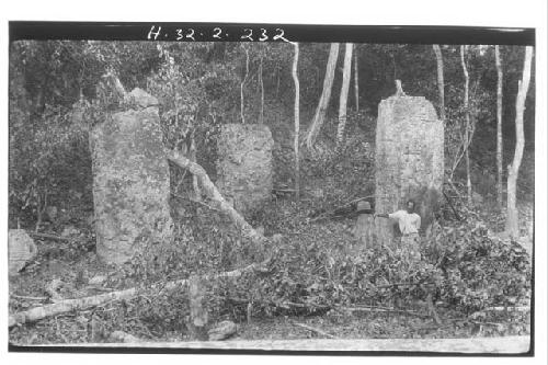 Stelae 39, 42 and 40 - left to right, in front - Structure II