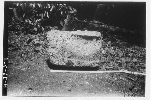 Metate #7 - top view