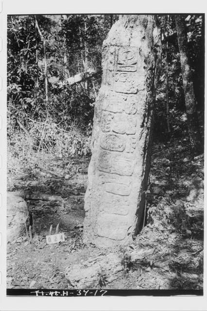 Stela 7 - right