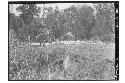 Men digging post holes for house