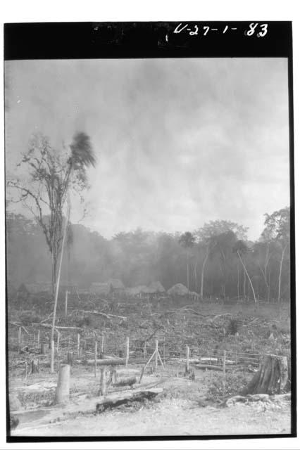 Milpa burning looking toward camp