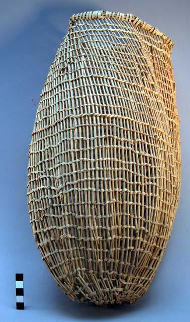 Model of fish trap