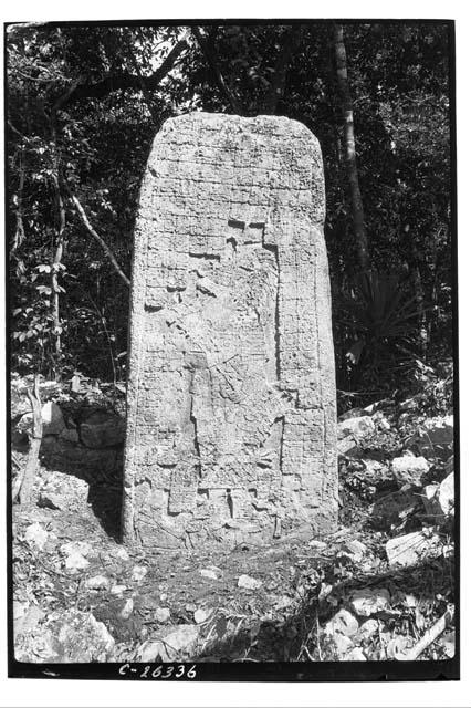 Front of Stela 1 at Macanxoc