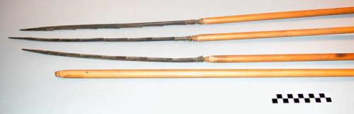Spears, barbed wood points, 1 missing, wrapped with plant fiber