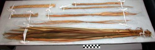 Palm leaf, thrinax argentia (5th stage); strips for sewing pieces in +